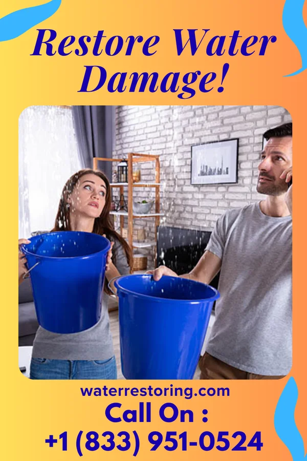 water restoration Vigilant Mitigation Contractors Roma