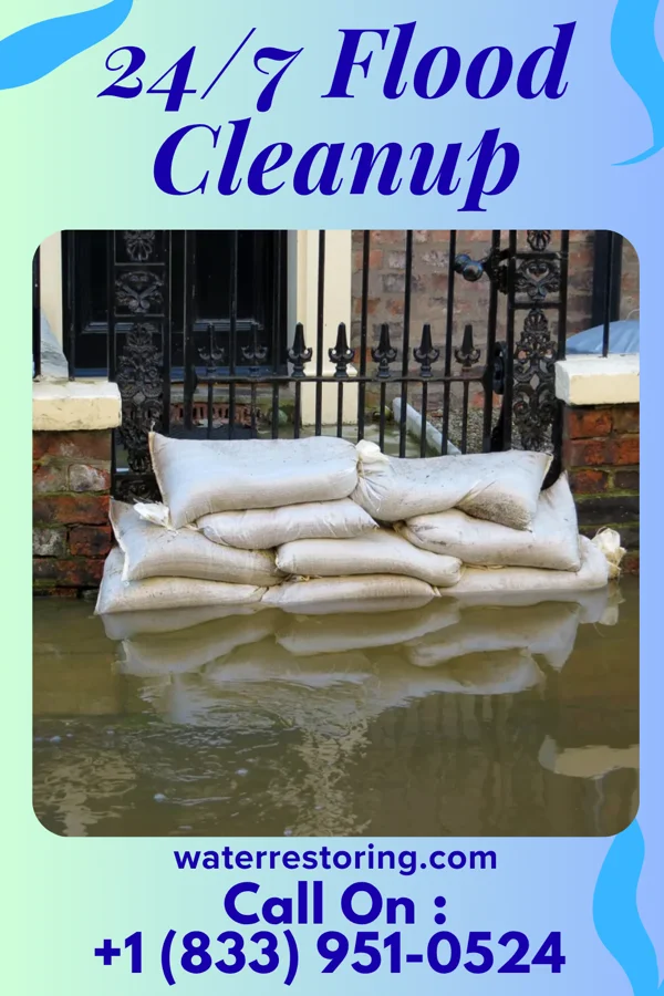 24/7 Flood Cleanup in Roma, TX