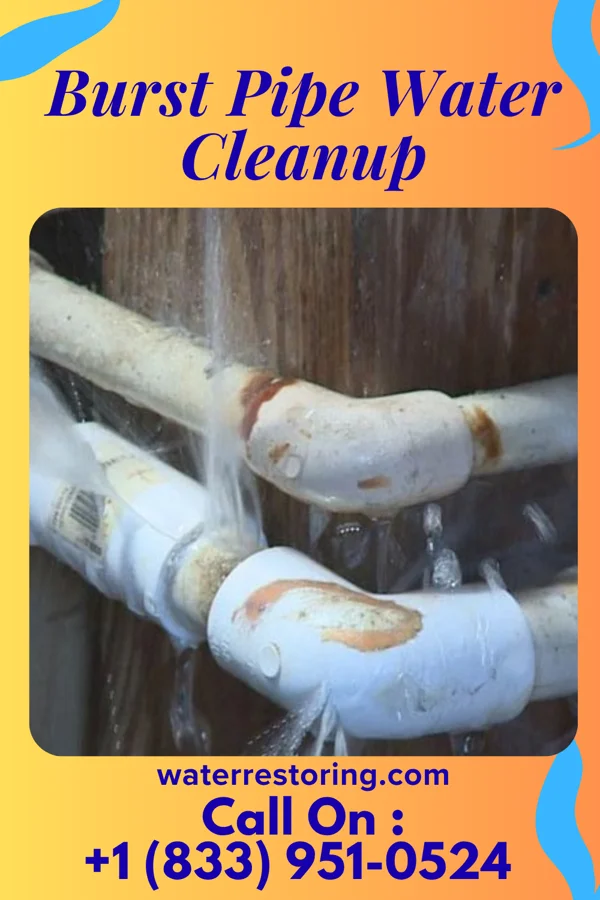 Burst Pipe Water Cleanup in Roma, TX