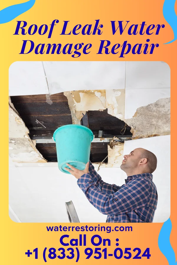 Roof Leak Water Damage Repair in Roma, TX